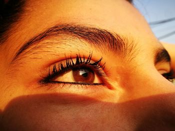 Close-up of woman eye