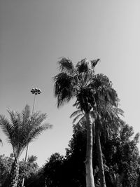 Low angle view of palm trees against clear sky