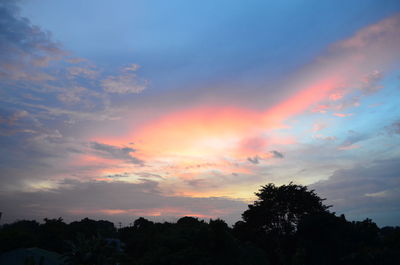 Low angle view of silhouette trees against sky during sunset