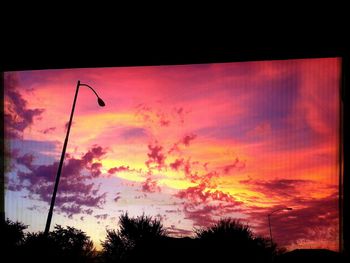 Silhouette of trees at sunset