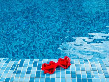 High angle view of red rose on swimming pool