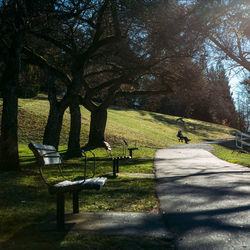 Empty bench in park