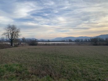 Scenic view of field against sky