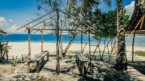 Trees on beach against sky