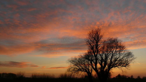 Silhouette bare trees on landscape against romantic sky at sunset