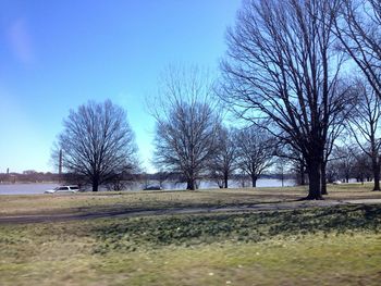 Bare trees on landscape against blue sky