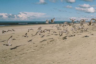 Scenic view of beach against sky