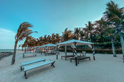 Chairs and palm trees on beach against blue sky