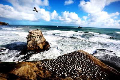 Scenic view of sea against sky