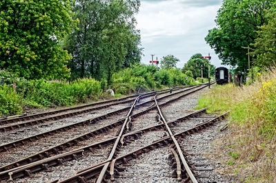 Railroad tracks amidst trees against sky