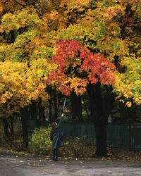 Rear view of man in park during autumn