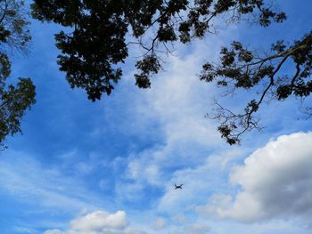 Low angle view of birds flying against blue sky