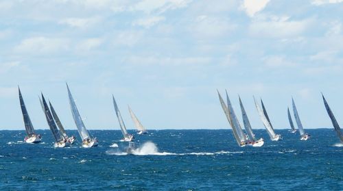 Yatch race at sea against sky