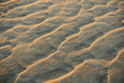 Full frame shot of sand at beach