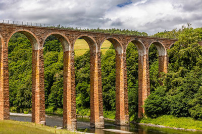 Arch bridge in forest