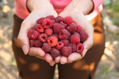 Close-up of hand holding raspberries