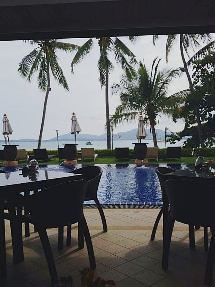 palm tree, chair, table, sea, water, tree, absence, empty, tourist resort, seat, sky, restaurant, lounge chair, swimming pool, sunlight, nature, tranquility, horizon over water, nautical vessel, day