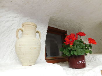 Close-up of potted plant against white wall