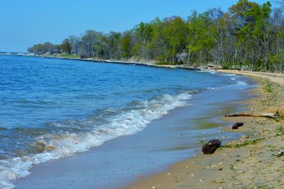 Scenic view of calm sea