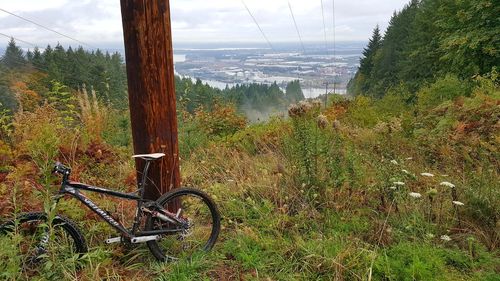 Bicycle by tree trunk by sea against trees