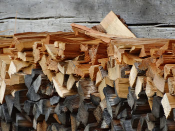 Stack of wooden logs in forest