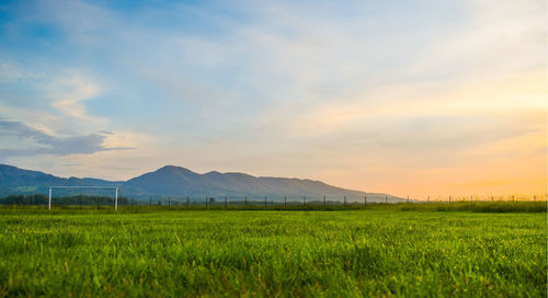 Scenic view of field against sky during sunset