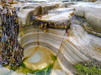 High angle view of rock on beach