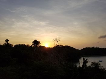 Scenic view of silhouette trees against sky during sunset