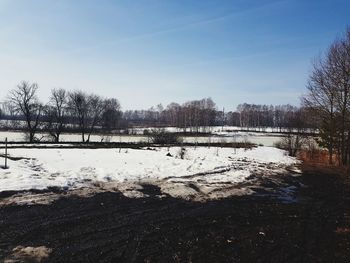 Trees on snow covered field against sky