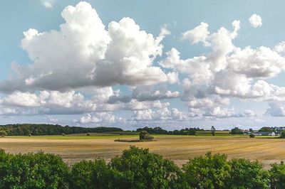 Scenic view of field against cloudy sky