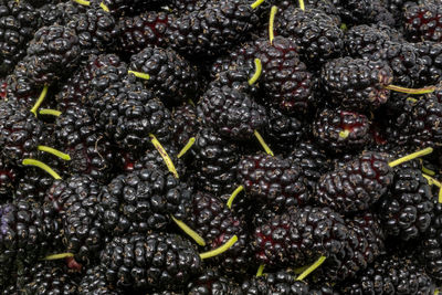 Full frame shot of fruits