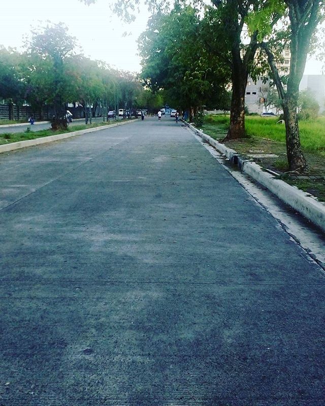 tree, the way forward, diminishing perspective, road, vanishing point, tranquility, growth, treelined, nature, transportation, tranquil scene, shadow, day, sunlight, park - man made space, footpath, empty, tree trunk, street, outdoors