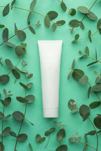 Green background with eucalyptus branches and a white tube for cosmetics. mokcup