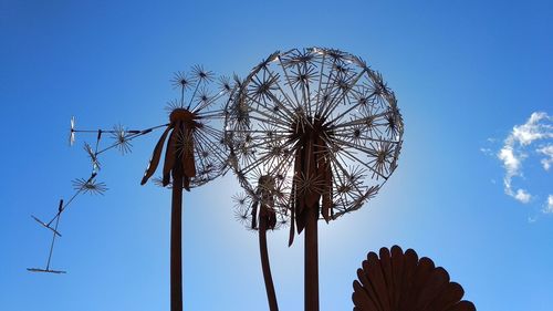 Low angle view of tree against blue sky