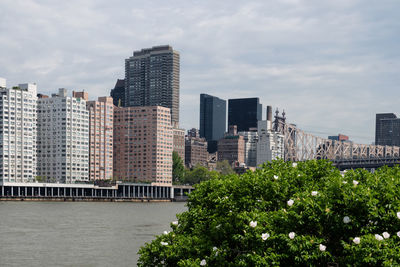 Modern buildings against sky in city