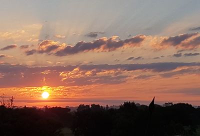 Silhouette trees against sky during sunset