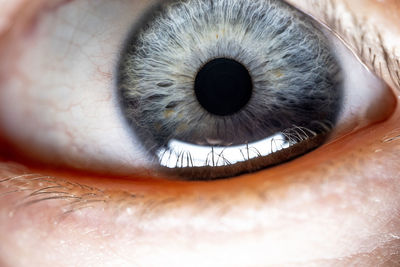 Close-up of human eye