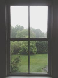 window