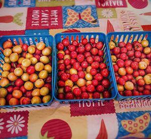 High angle view of fruits for sale at market stall