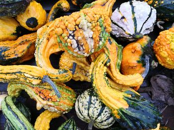 Full frame shot of pumpkins at market