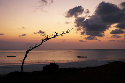 Scenic view of sea at sunset