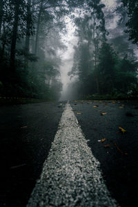 Road amidst trees in forest