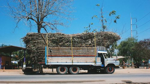 Truck loaded with sugar cane on road against clear blue sky