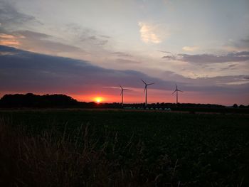 Scenic view of field against sky during sunset