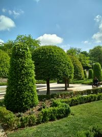 Trees and plants in park