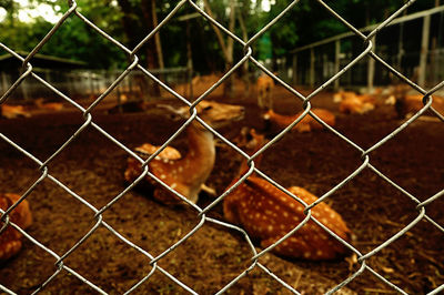 Full frame shot of chainlink fence against sky