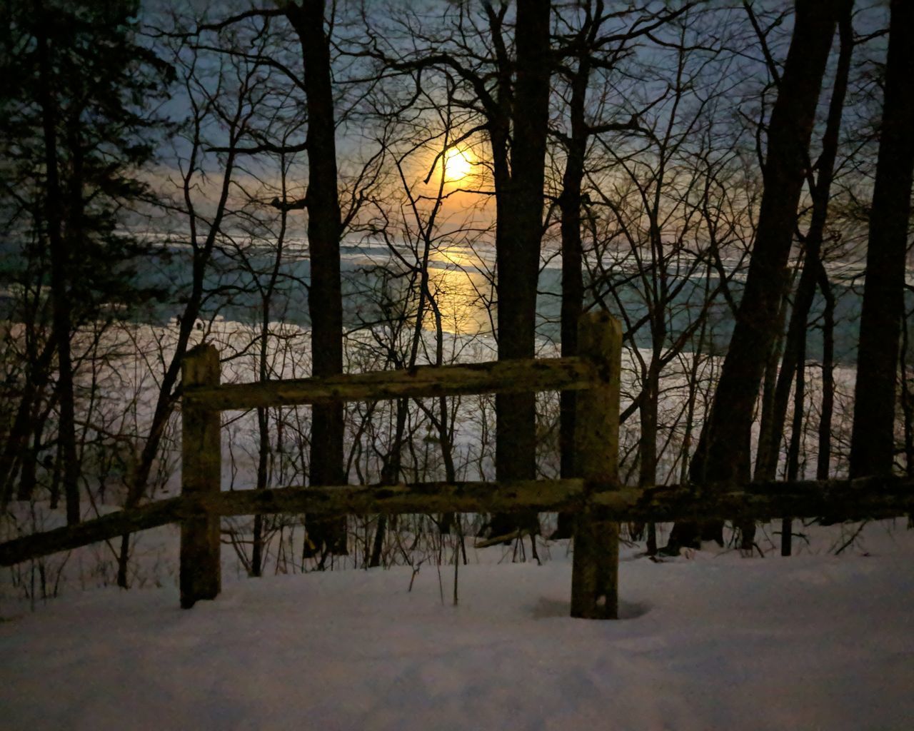 BARE TREES ON SNOW COVERED LAND AGAINST SKY