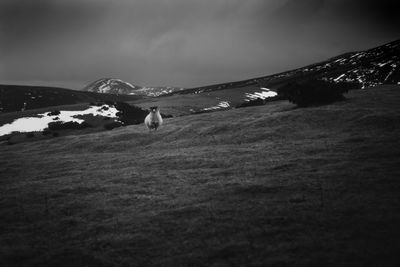 Scenic view of snowcapped mountain against sky