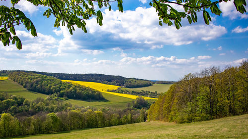 Scenic view of field against sky