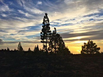 Silhouette trees against sky during sunset